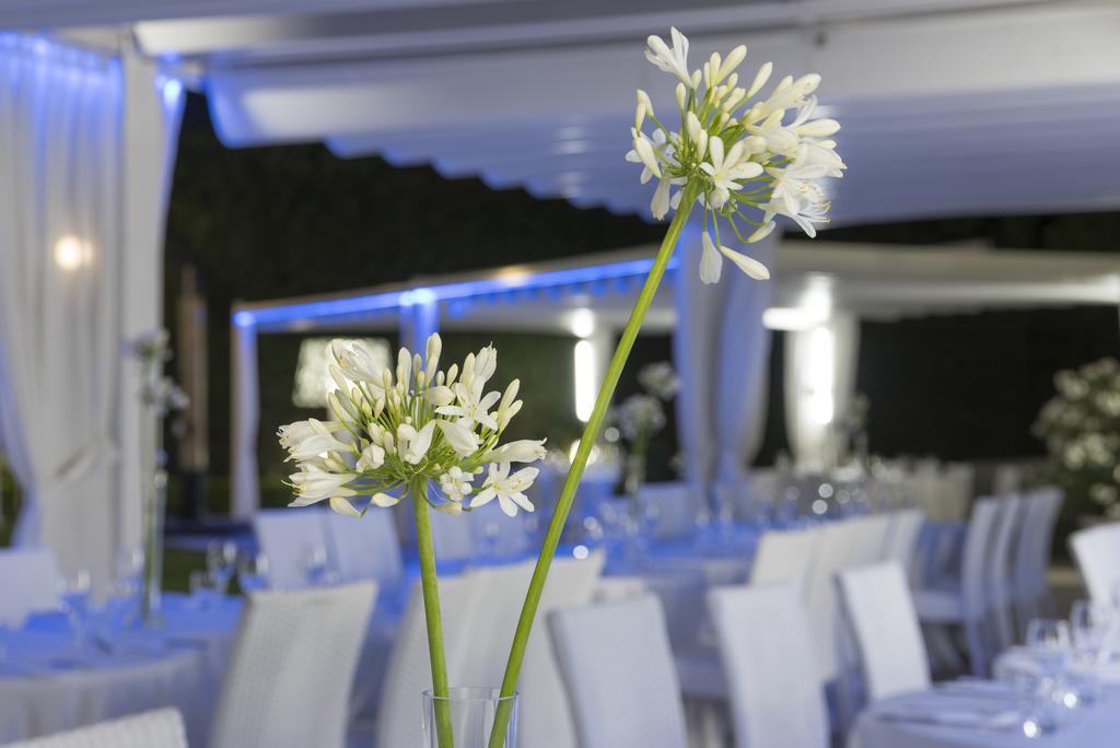 Grand Hotel Biffy أريانو إربينو المظهر الخارجي الصورة